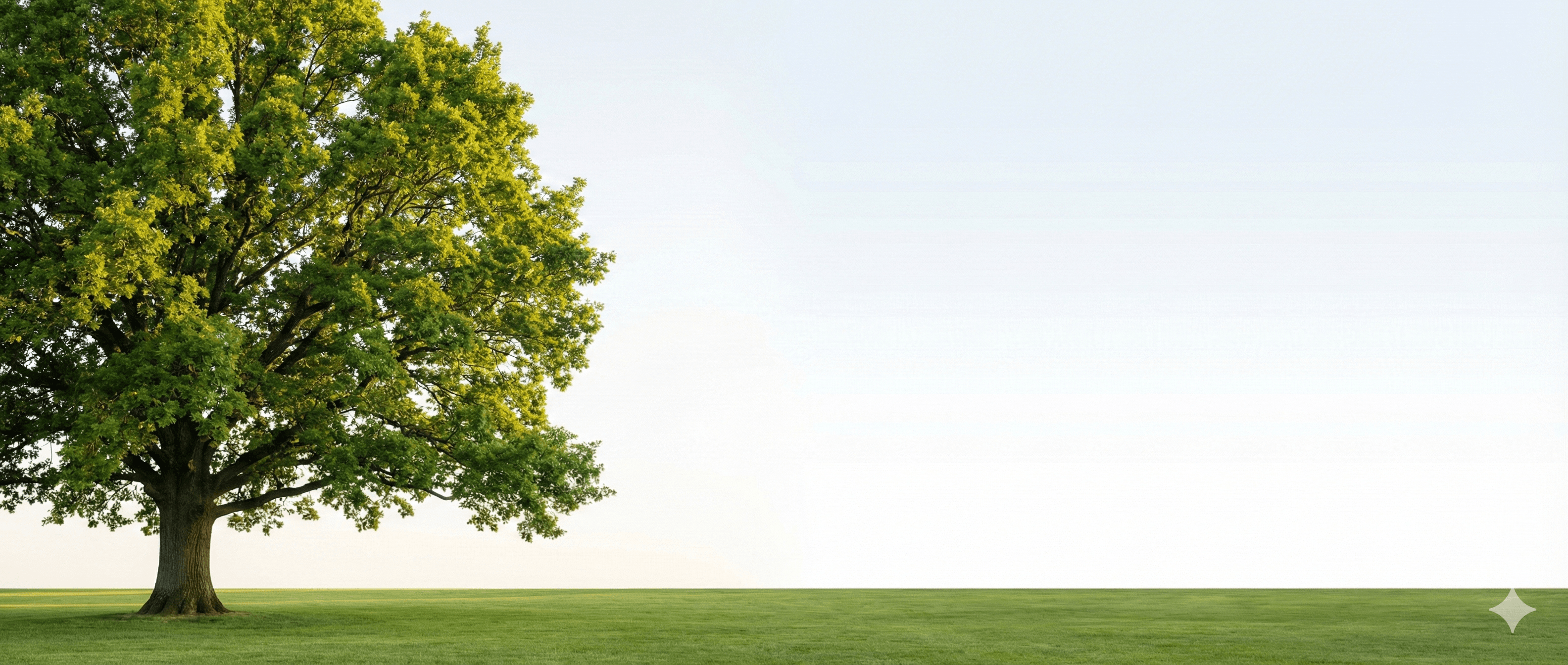 Customer Reviews Background